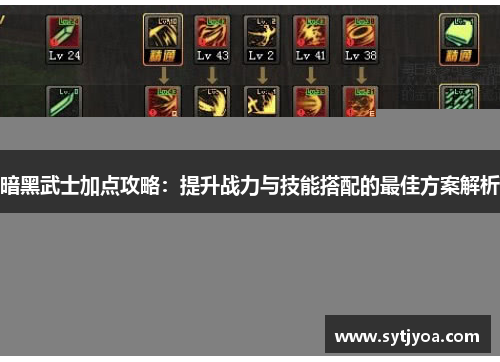暗黑武士加点攻略：提升战力与技能搭配的最佳方案解析