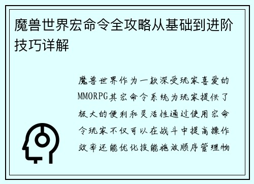 魔兽世界宏命令全攻略从基础到进阶技巧详解